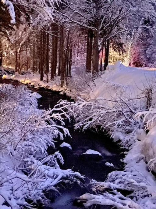 La Casetta Sulla Neve Abetone Ngoại thất bức ảnh